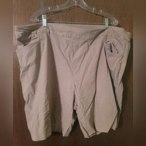 Terra & Sky Khaki Shorts